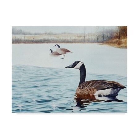 Trademark Fine Art Rusty Frentner 'Promise Of Spring' Canvas Art, 24x32 ALI32980-C2432GG